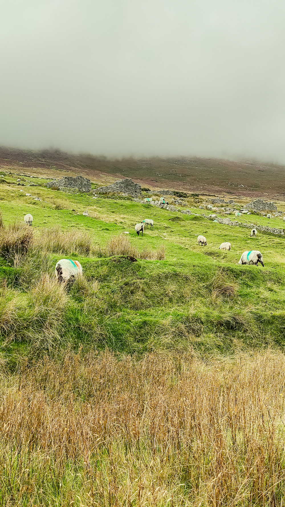 Deserted village at Slievemore mountain Achill Island - Top 5 things to do in Co. Mayo, Ireland - From Downpatrick Head to coastal hikes | Aliz’s Wonderland