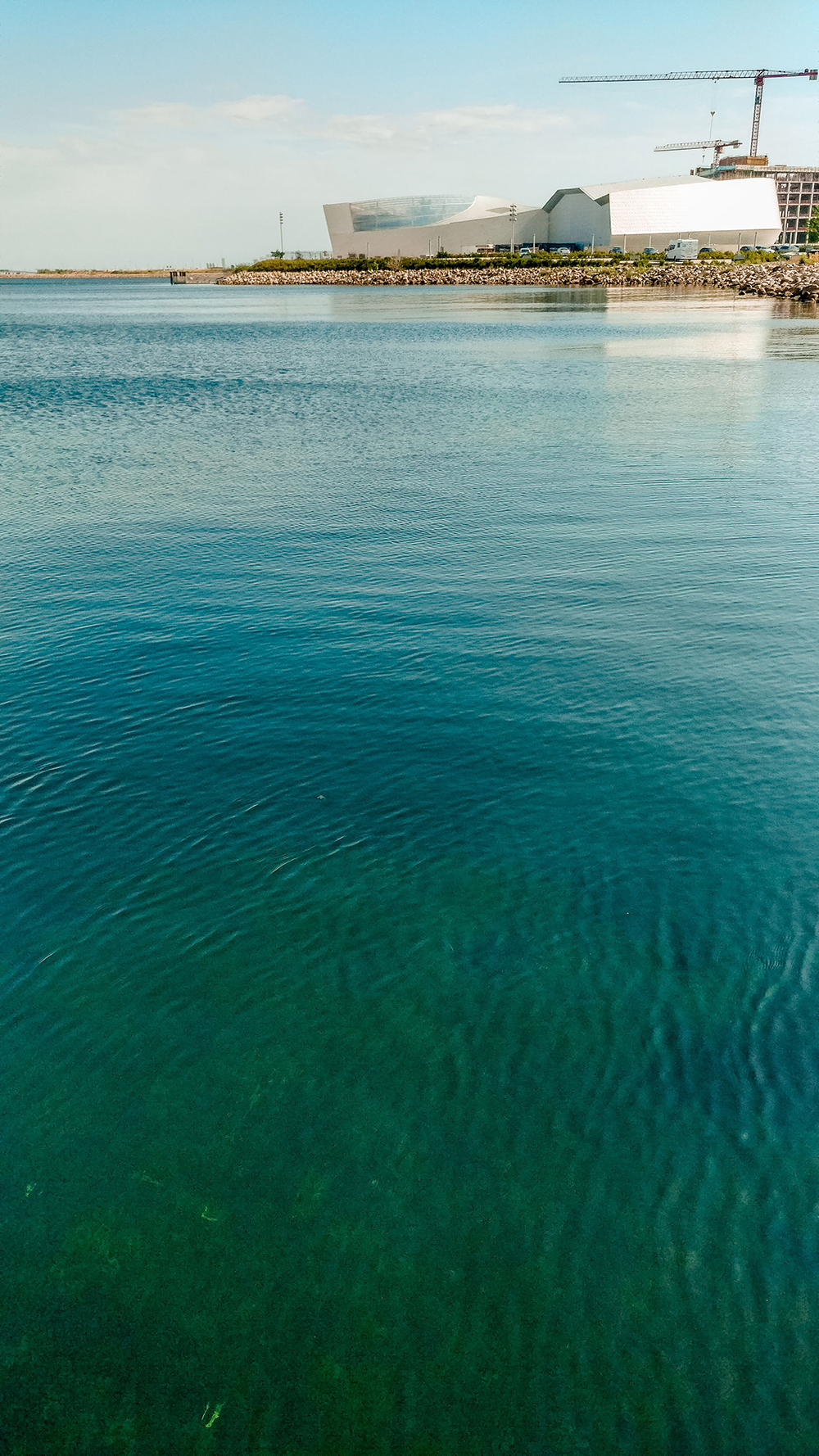 National Aquarium Denmark - Copenhagen 3-day travel itinerary | Aliz’s Wonderland