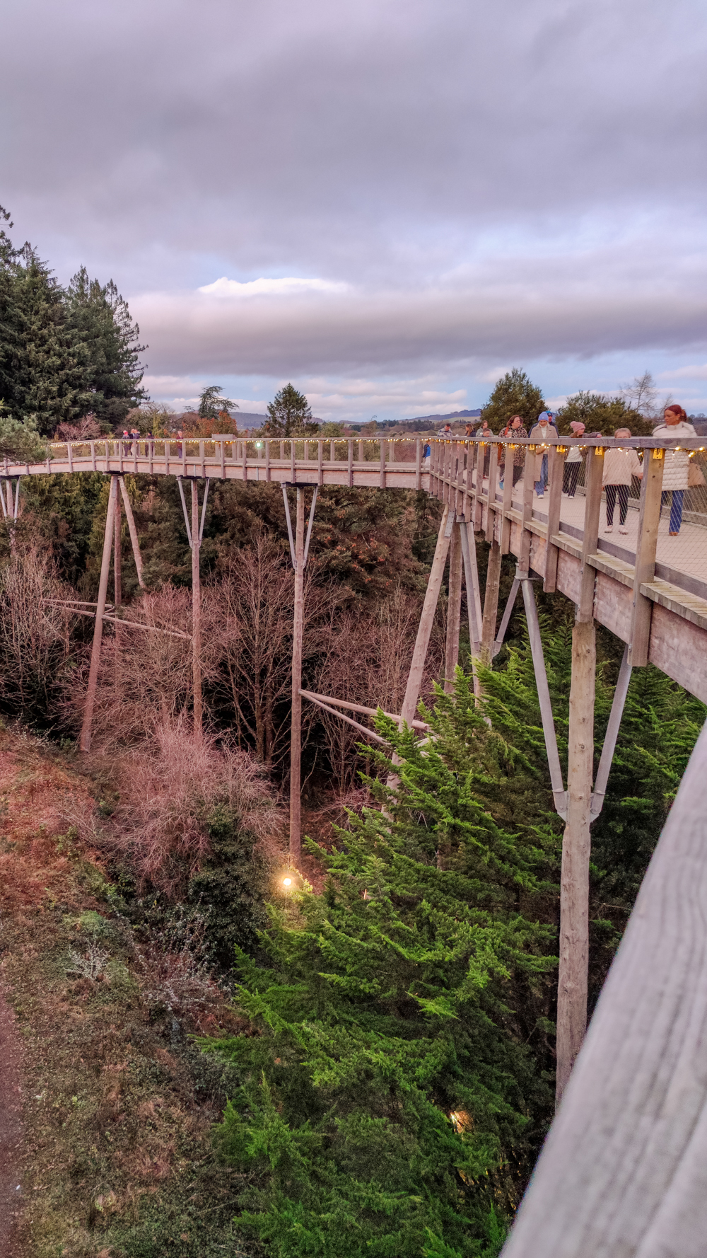 Avondale Beyond the trees 4-day Wicklow travel itinerary - Best places to stay, eat & explore | Aliz’s Wonderland