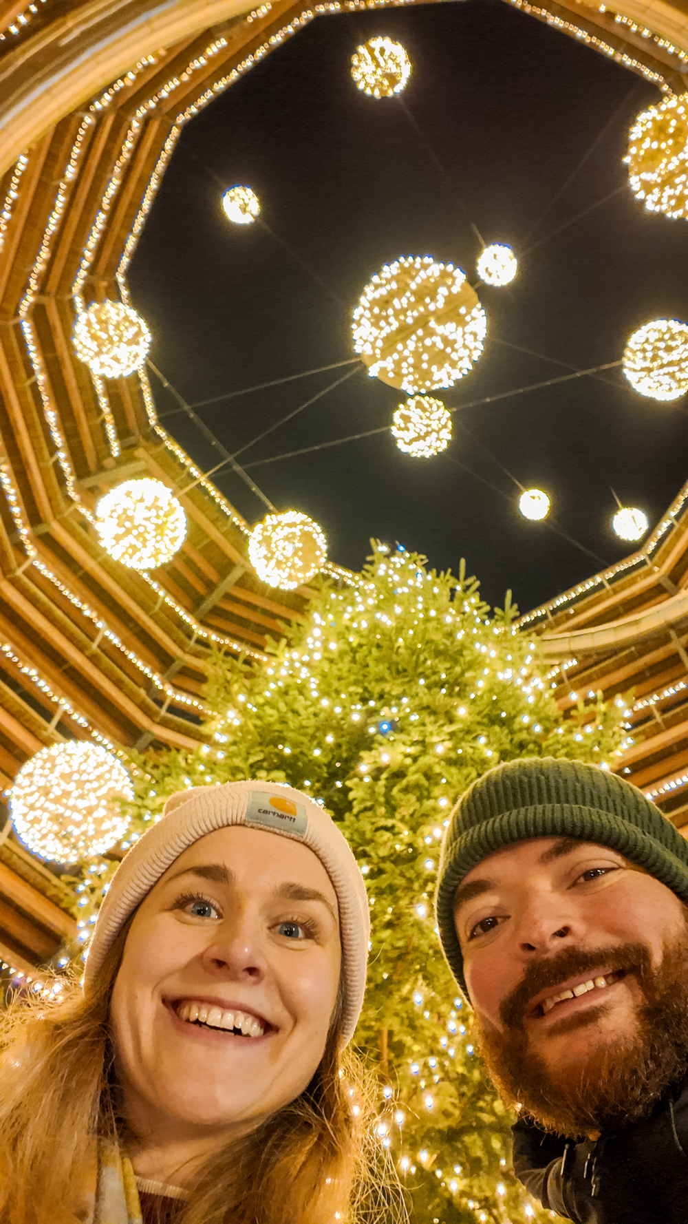 Avondale Treetop Night Lights - 4-day Wicklow travel itinerary - Best places to stay, eat & explore | Aliz’s Wonderland
