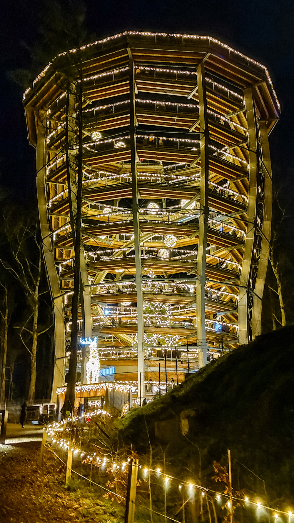 Avondale Treetop Night Lights - 4-day Wicklow travel itinerary - Best places to stay, eat & explore | Aliz’s Wonderland