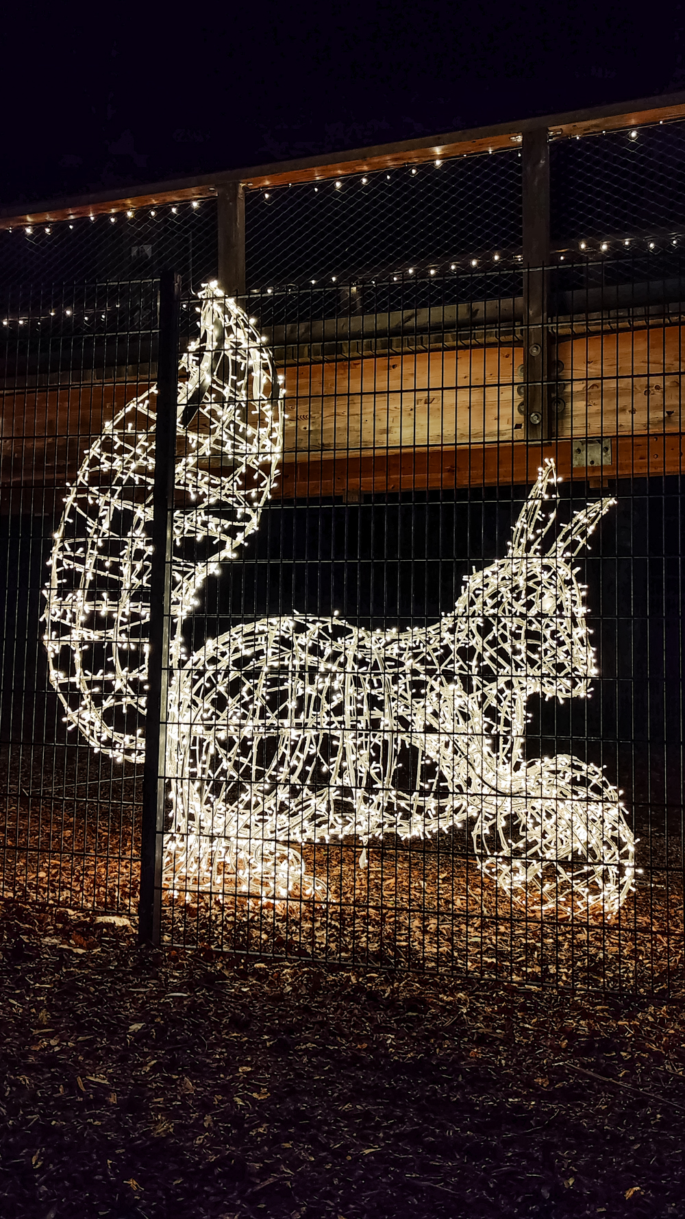 Avondale Treetop Night Lights - 4-day Wicklow travel itinerary - Best places to stay, eat & explore | Aliz’s Wonderland