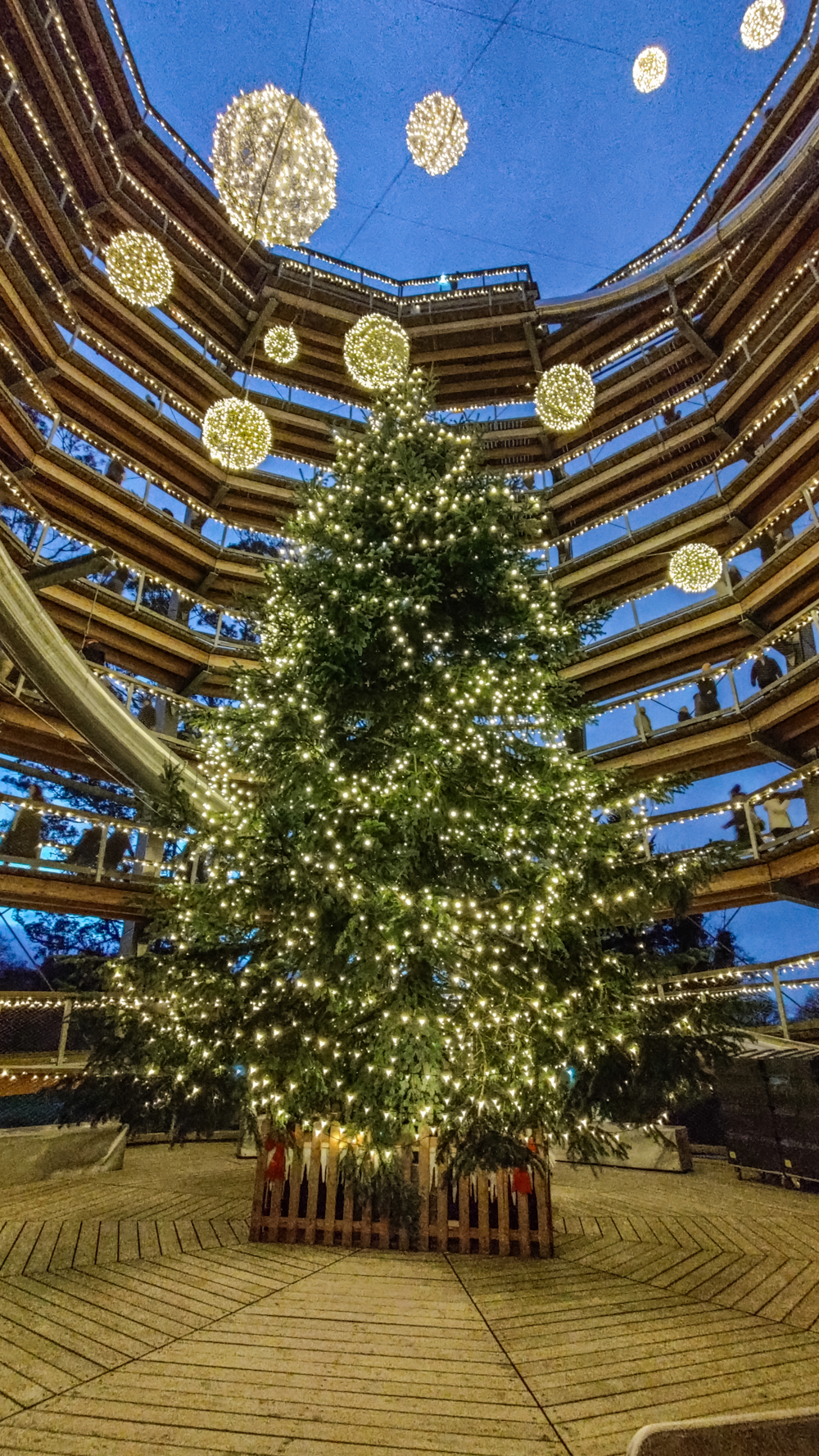 Avondale Treetop Night Lights - 4-day Wicklow travel itinerary - Best places to stay, eat & explore | Aliz’s Wonderland