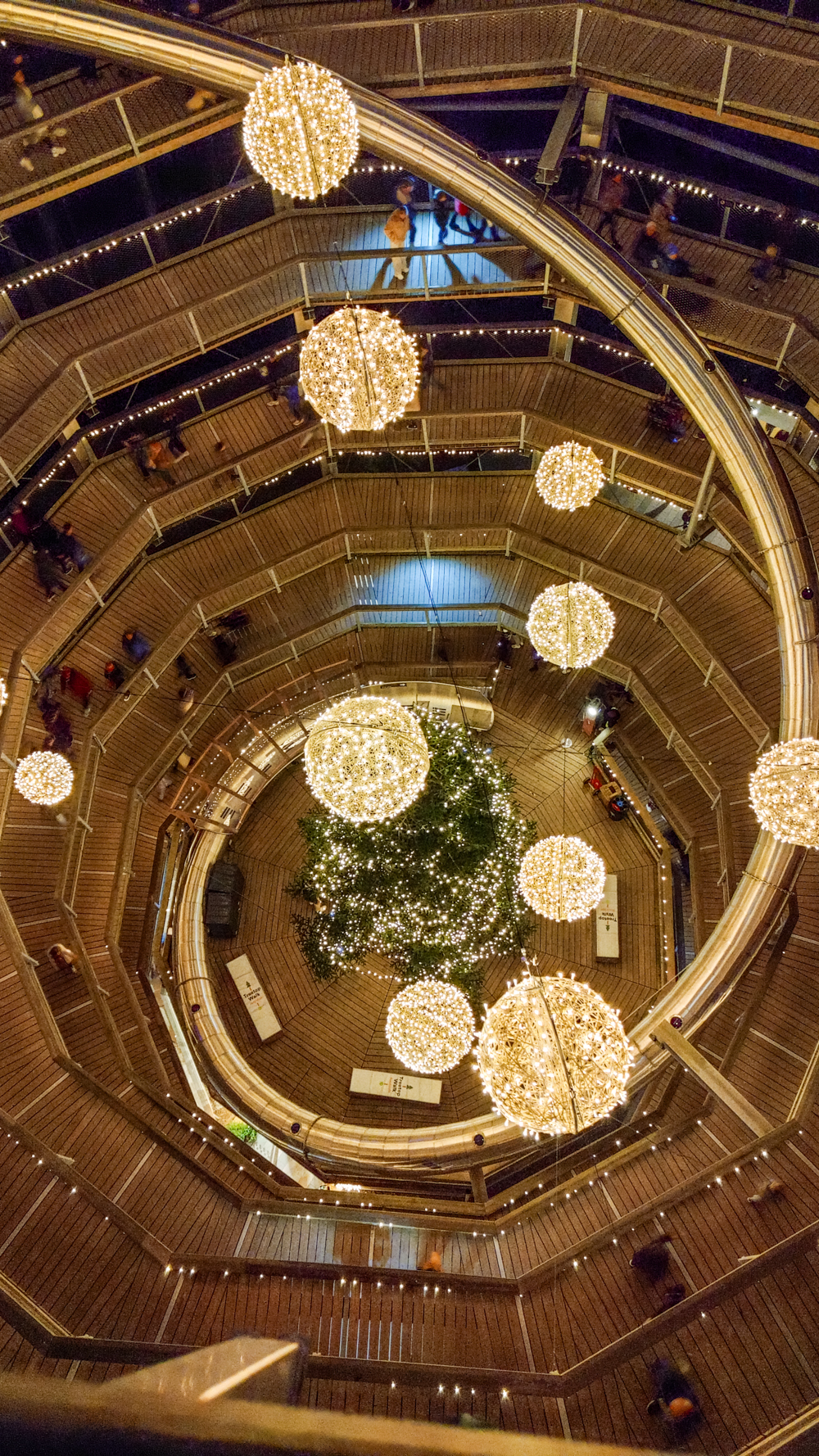 Avondale Treetop Night Lights - 4-day Wicklow travel itinerary - Best places to stay, eat & explore | Aliz’s Wonderland