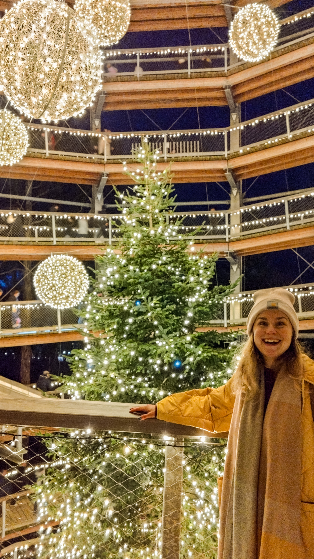 Avondale Treetop Night Lights - 4-day Wicklow travel itinerary - Best places to stay, eat & explore | Aliz’s Wonderland