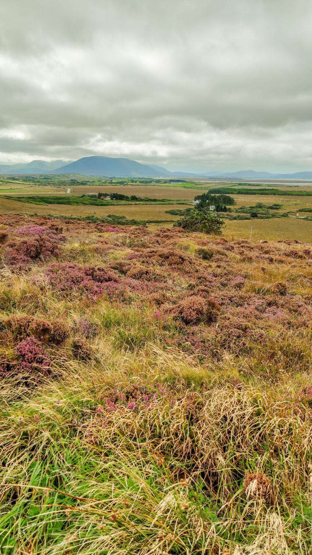 Ballycroy Visitor Centre - Top 5 things to do in Co. Mayo, Ireland - From Downpatrick Head to coastal hikes | Aliz’s Wonderland