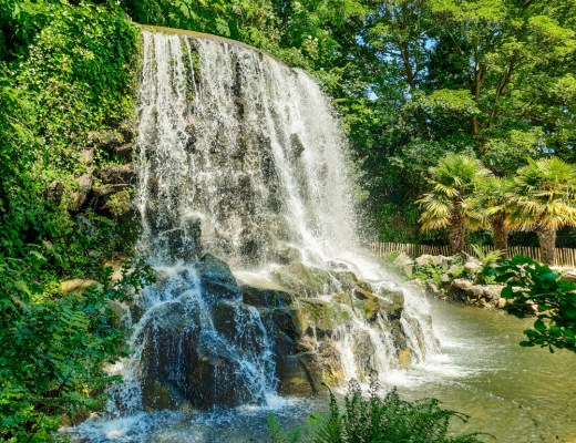 A nature lover's guide to the best parks and gardens in Dublin, Ireland | Aliz’s Wonderland