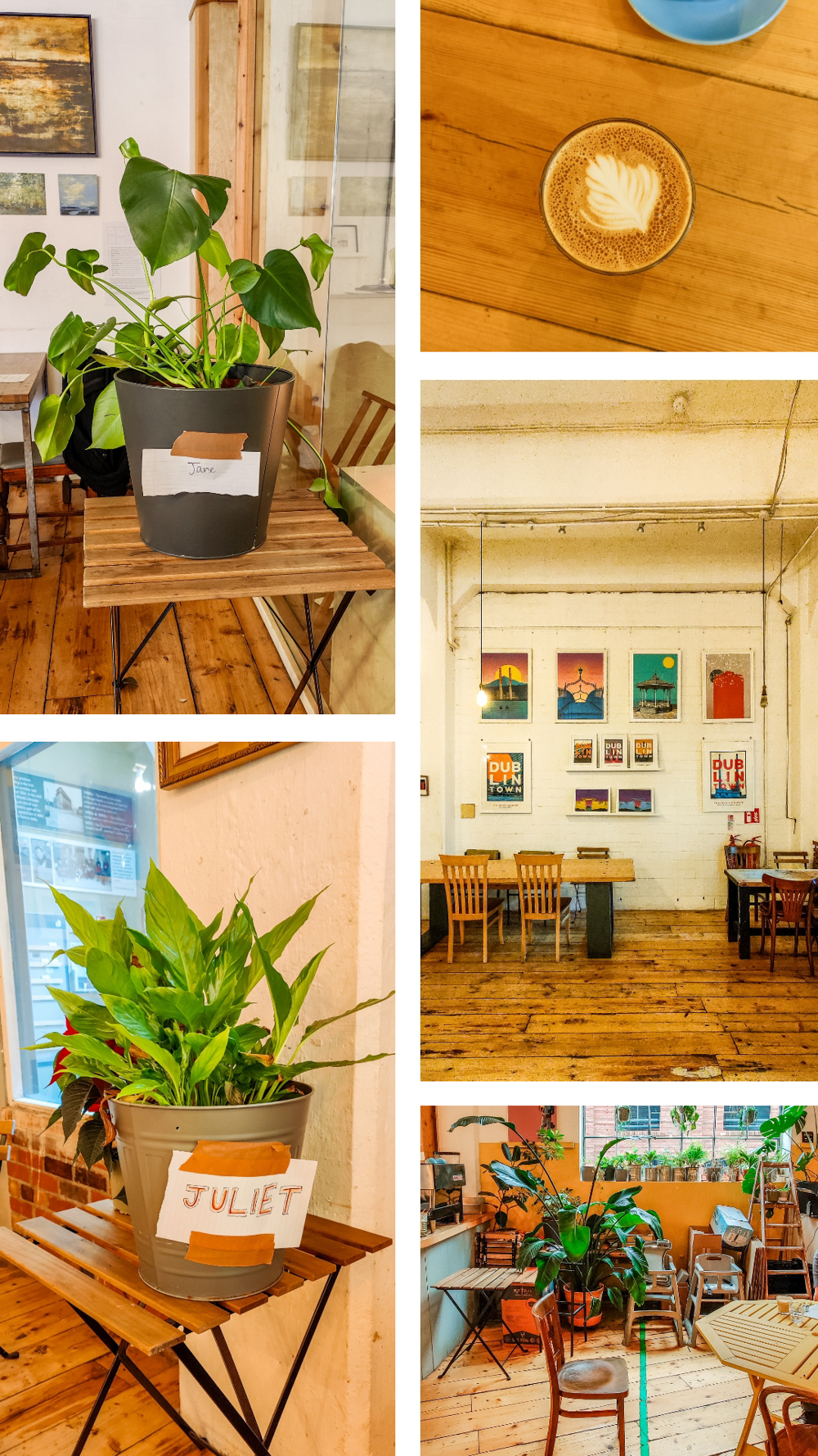 Blas Cafe - #DublinBrunch - The best brunch places in North Dublin, Ireland | Aliz’s Wonderland