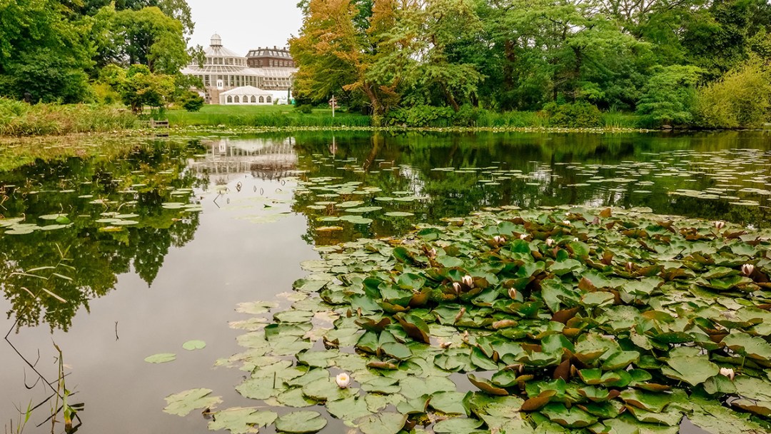 Botanical Garden and Palm House - Copenhagen 3-day travel itinerary | Aliz’s Wonderland