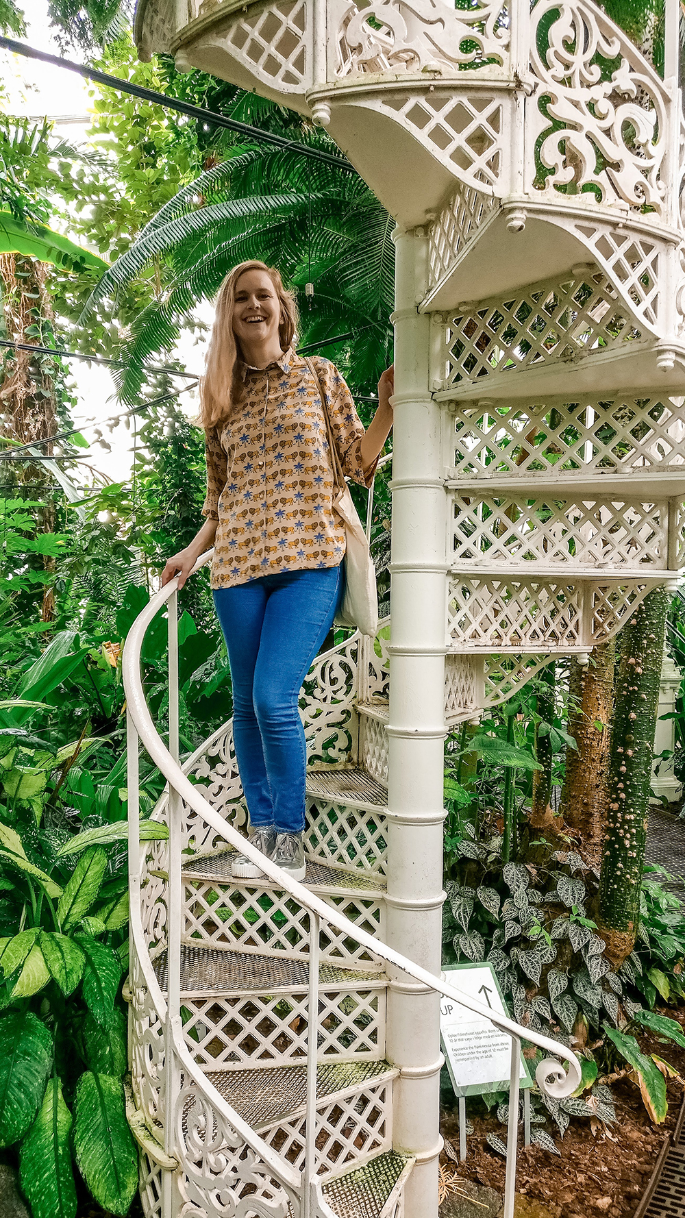 Botanical Garden and Palm House - Copenhagen 3-day travel itinerary | Aliz’s Wonderland