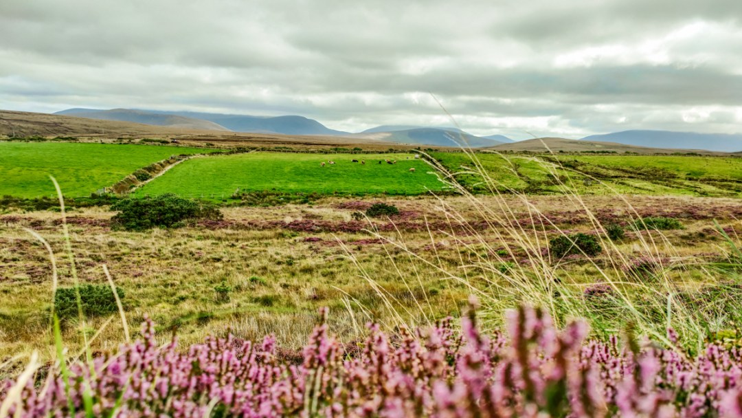 Ballycroy Visitor Centre - The ultimate County Mayo escape - A 4-day Irish adventure itinerary | Aliz’s Wonderland