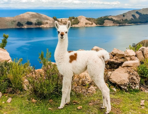 A day trip to Isla del Sol, Bolivia | Aliz’s Wonderland