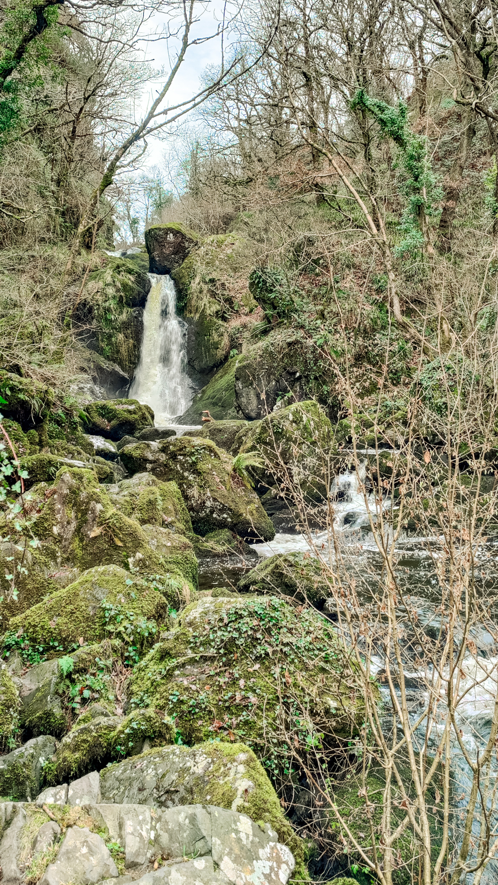 Devils Glen hike waterfall 4-day Wicklow travel itinerary - Best places to stay, eat & explore | Aliz’s Wonderland