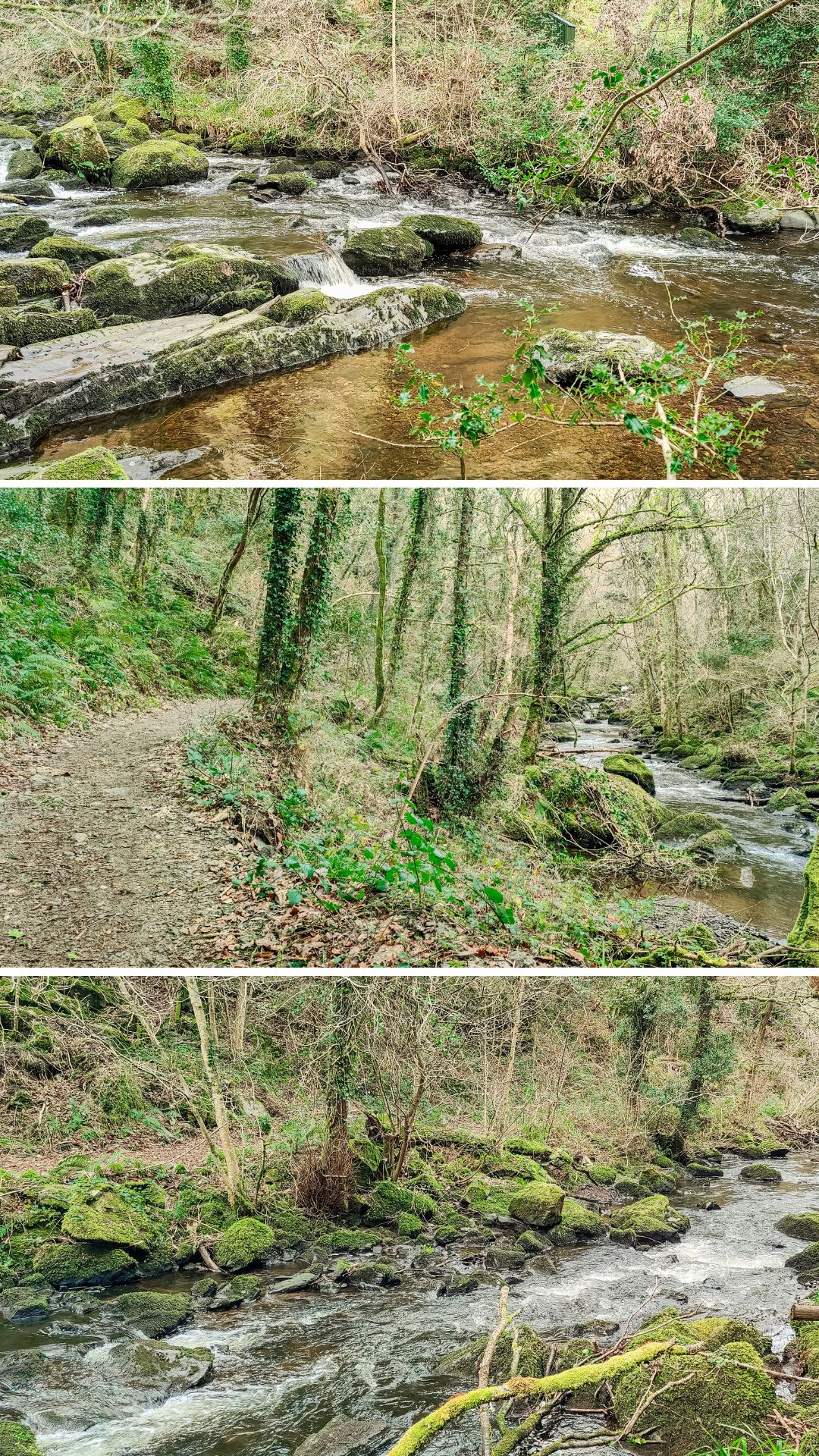 Devils Glen hike - 4-day Wicklow travel itinerary - Best places to stay, eat & explore | Aliz’s Wonderland