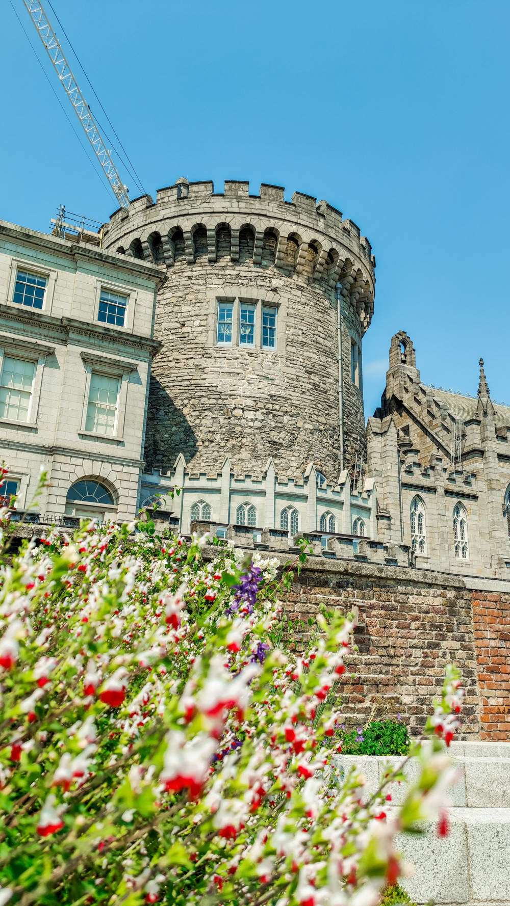 Dublin Castle Garden (Dubh Linn Garden) - A nature lover's guide to the best parks and gardens in Dublin, Ireland | Aliz’s Wonderland