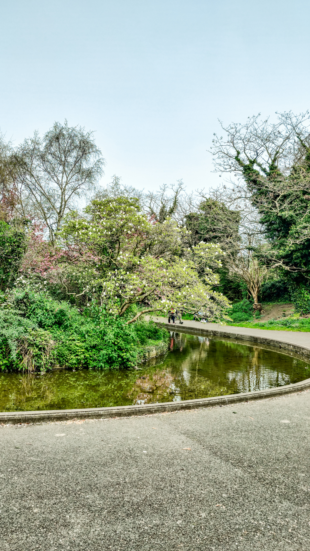 Herbert Park - A nature lover's guide to the best parks and gardens in Dublin, Ireland | Aliz’s Wonderland