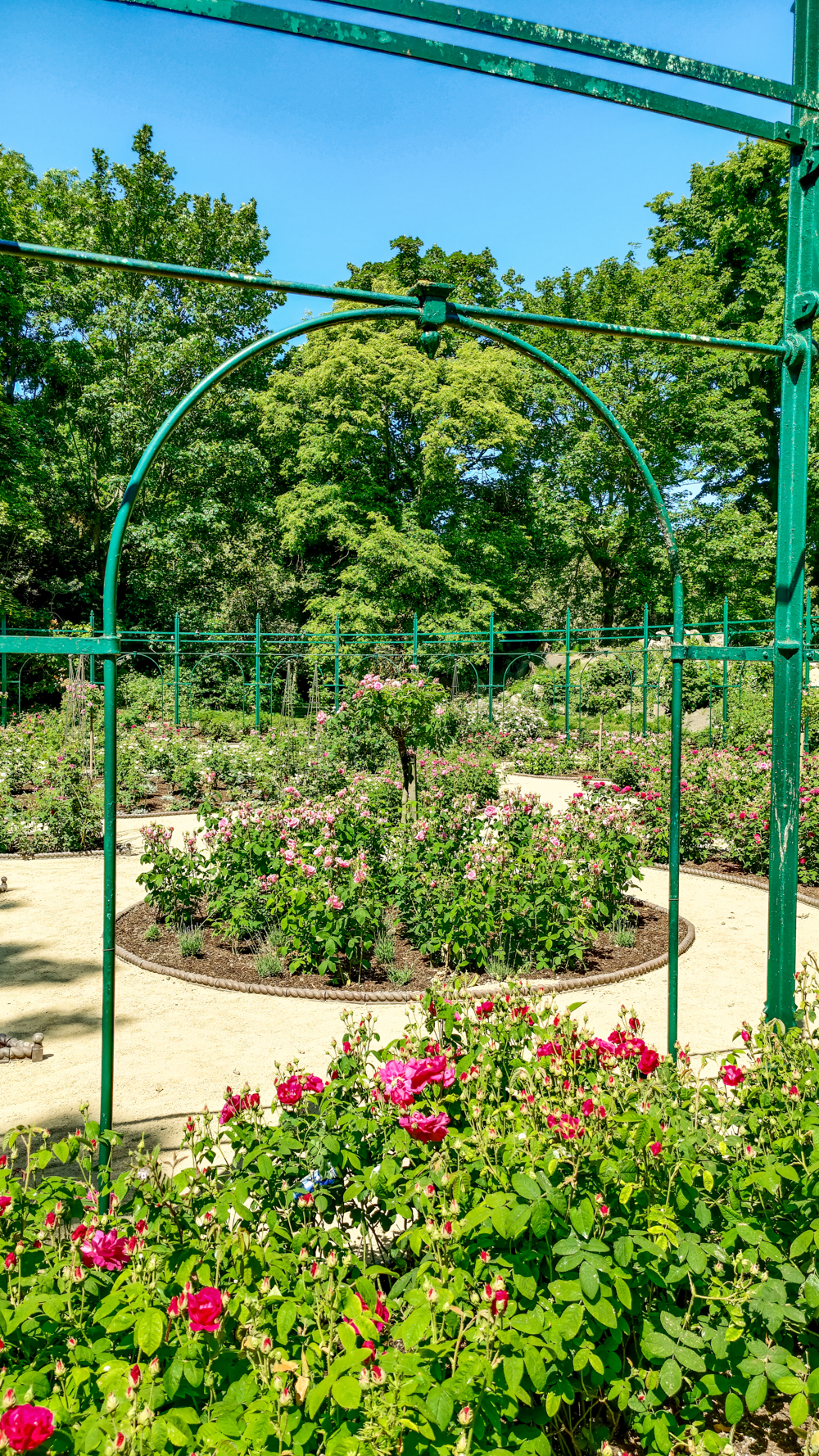 Iveagh Gardens - A nature lover's guide to the best parks and gardens in Dublin, Ireland | Aliz’s Wonderland