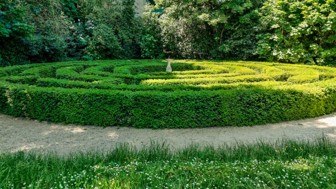 Iveagh Gardens - A nature lover's guide to the best parks and gardens in Dublin, Ireland | Aliz’s Wonderland