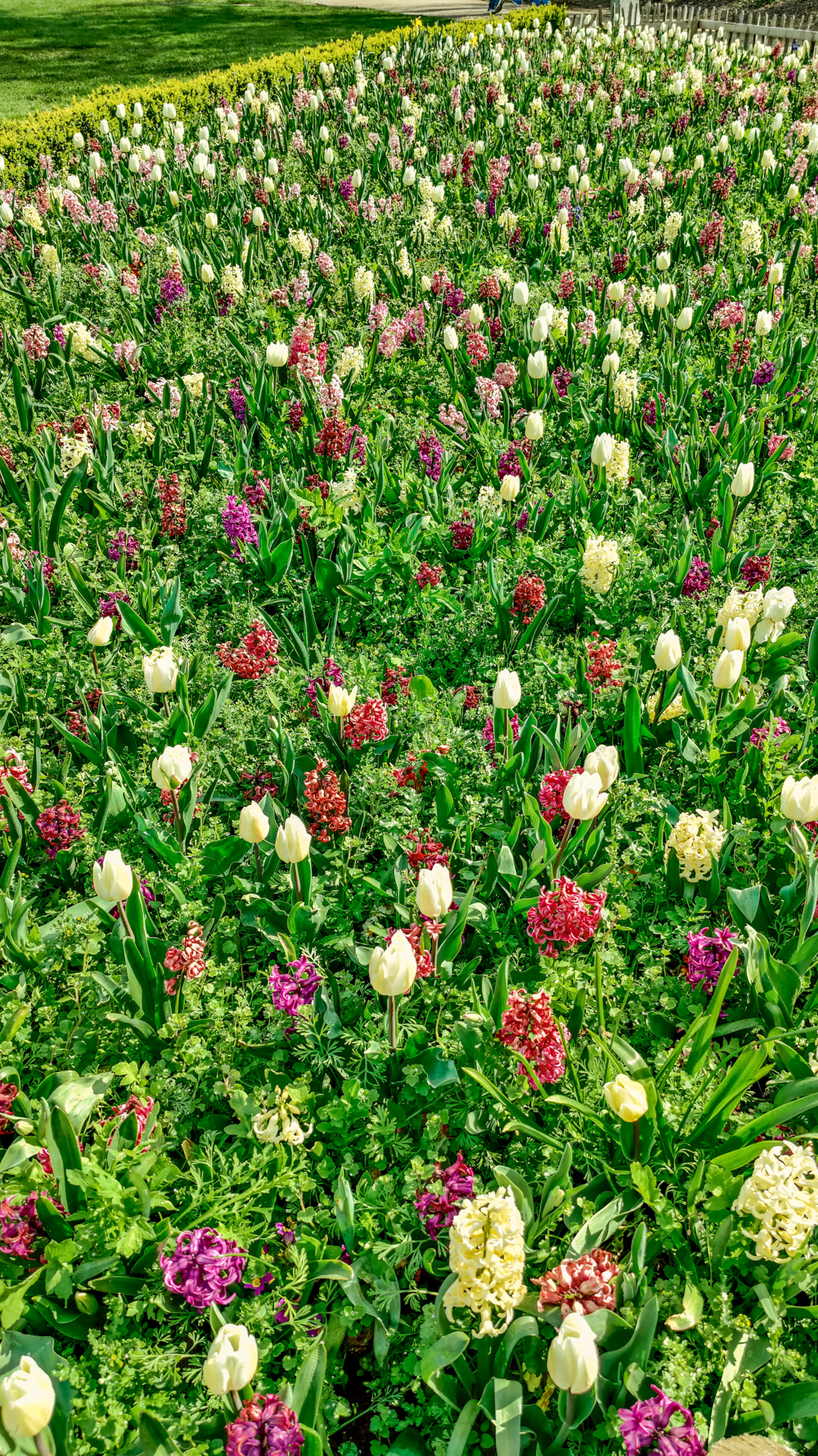 Merrion Square Park - A nature lover's guide to the best parks and gardens in Dublin, Ireland | Aliz’s Wonderland
