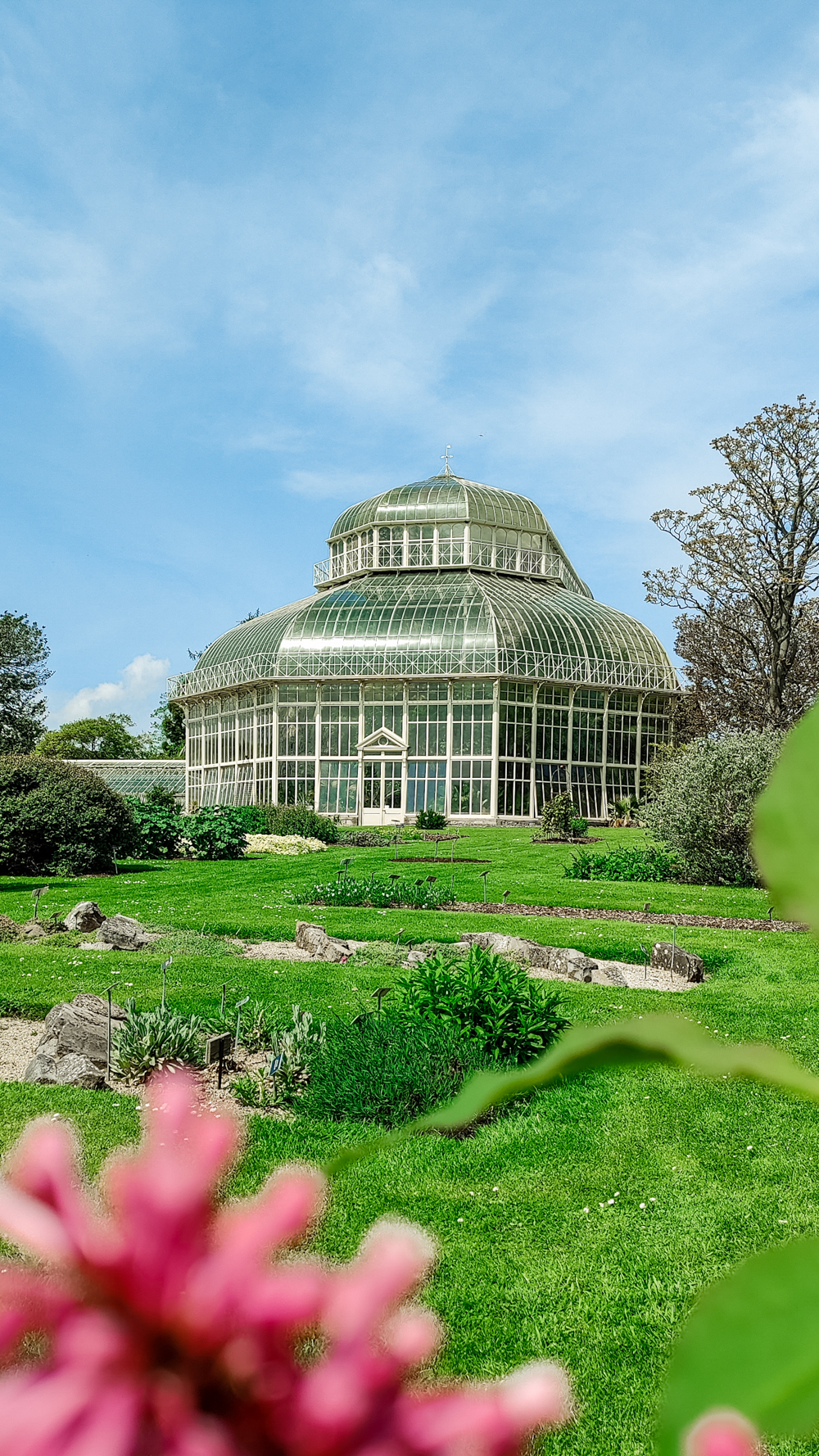 National Botanic Garden - A nature lover's guide to the best parks and gardens in Dublin, Ireland | Aliz’s Wonderland