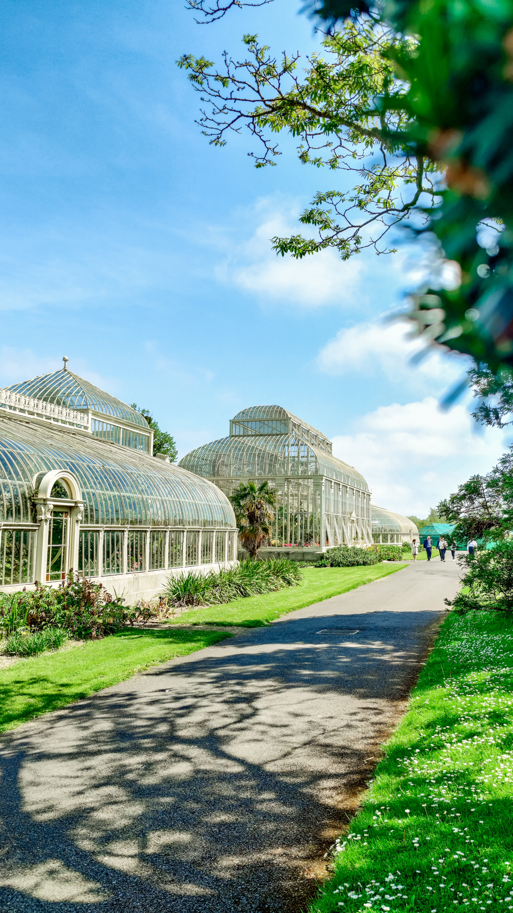 National Botanic Garden - A nature lover's guide to the best parks and gardens in Dublin, Ireland | Aliz’s Wonderland