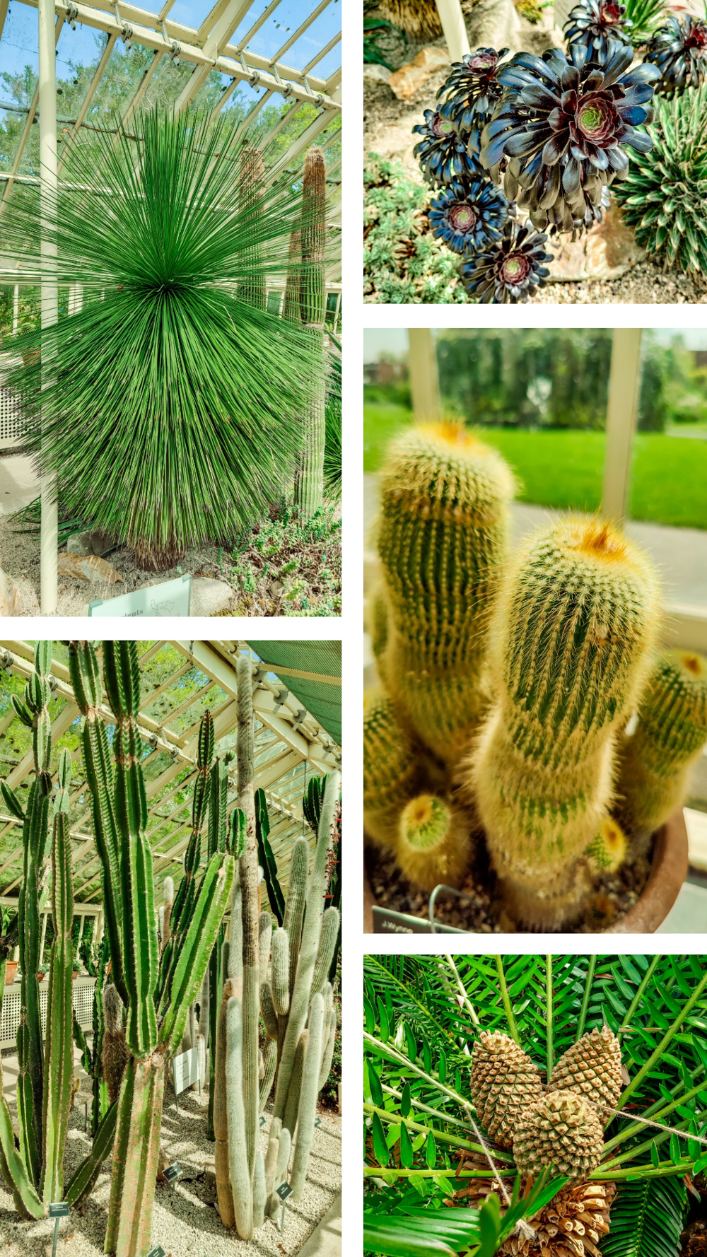 National Botanic Garden - A nature lover's guide to the best parks and gardens in Dublin, Ireland | Aliz’s Wonderland