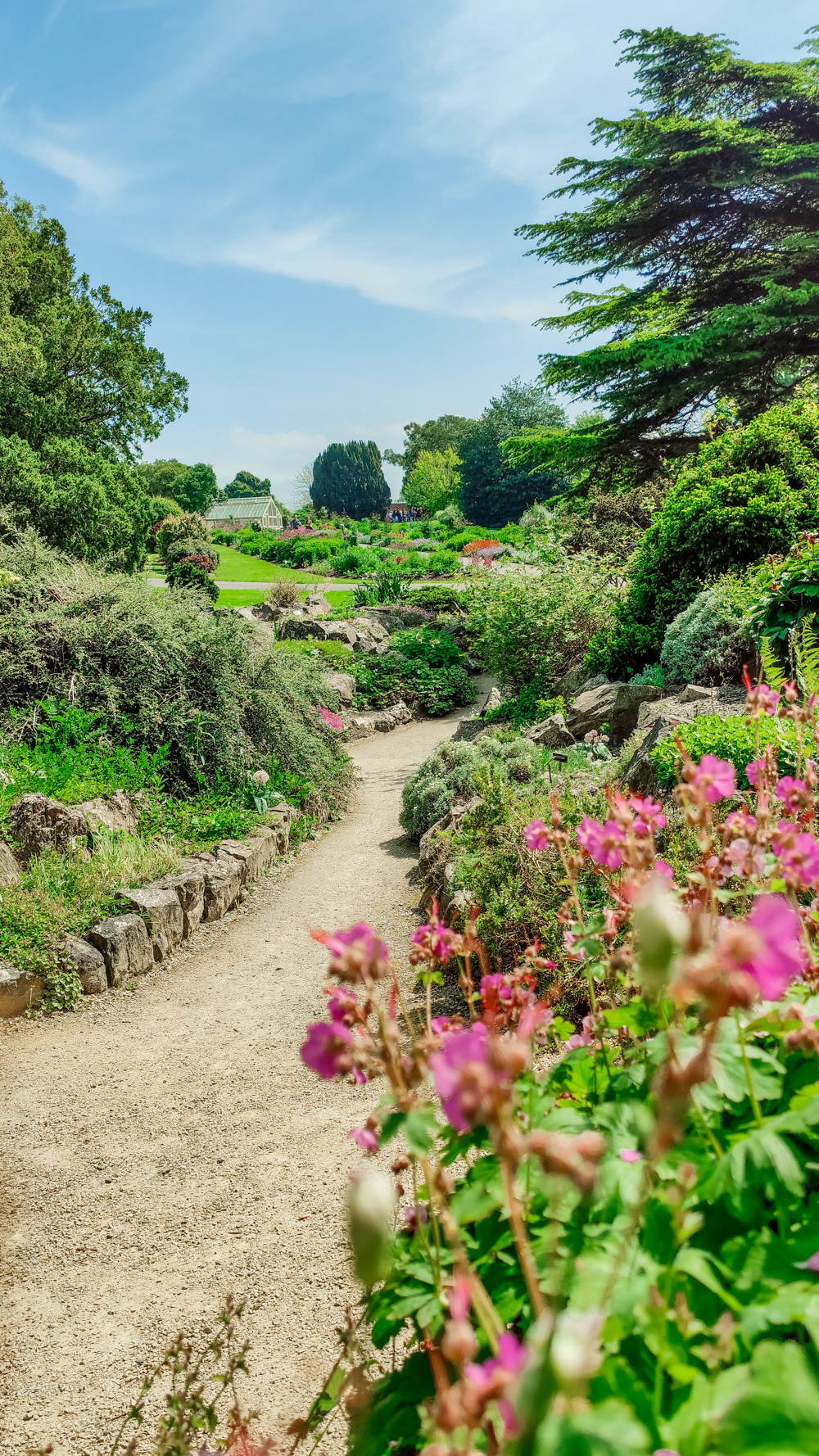 National Botanic Garden - A nature lover's guide to the best parks and gardens in Dublin, Ireland | Aliz’s Wonderland