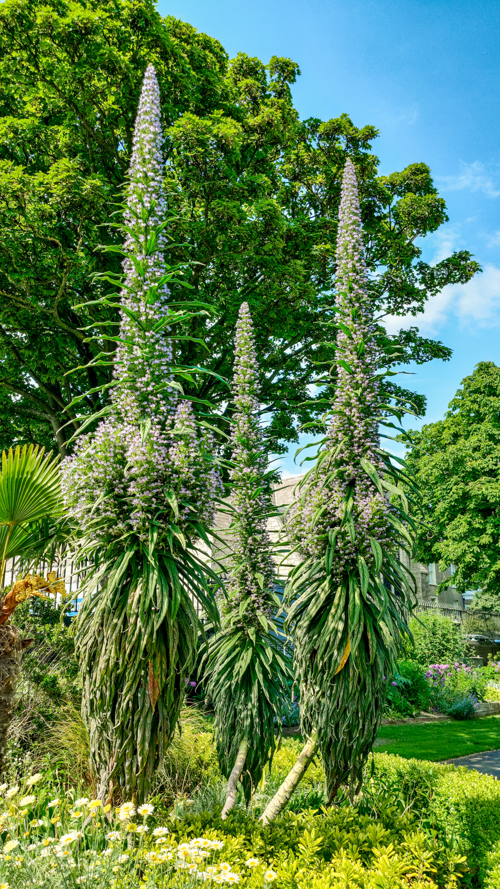 People’s Park in Dún Laoghaire - A nature lover's guide to the best parks and gardens in Dublin, Ireland | Aliz’s Wonderland
