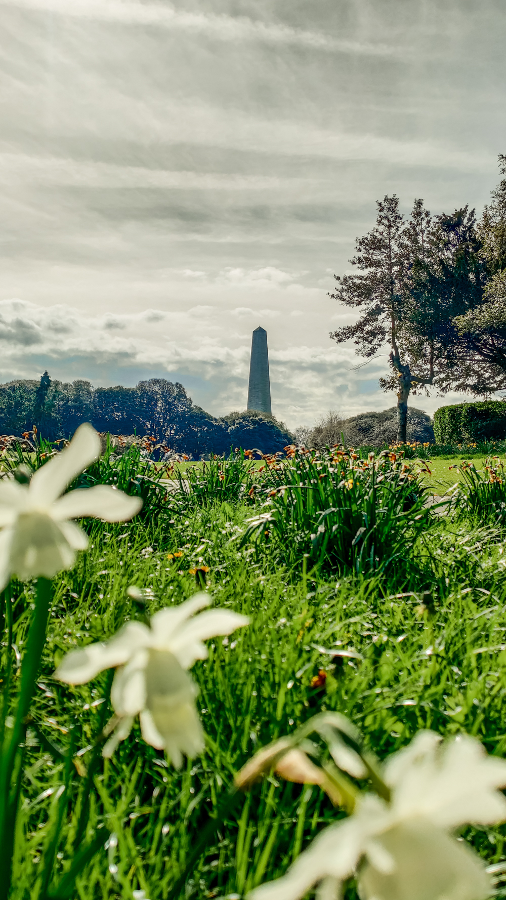 Phoenix Park - A nature lover's guide to the best parks and gardens in Dublin, Ireland | Aliz’s Wonderland