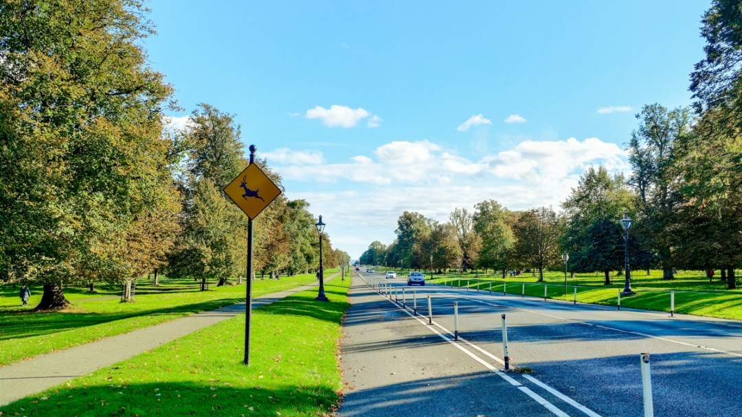 Phoenix Park - A nature lover's guide to the best parks and gardens in Dublin, Ireland | Aliz’s Wonderland