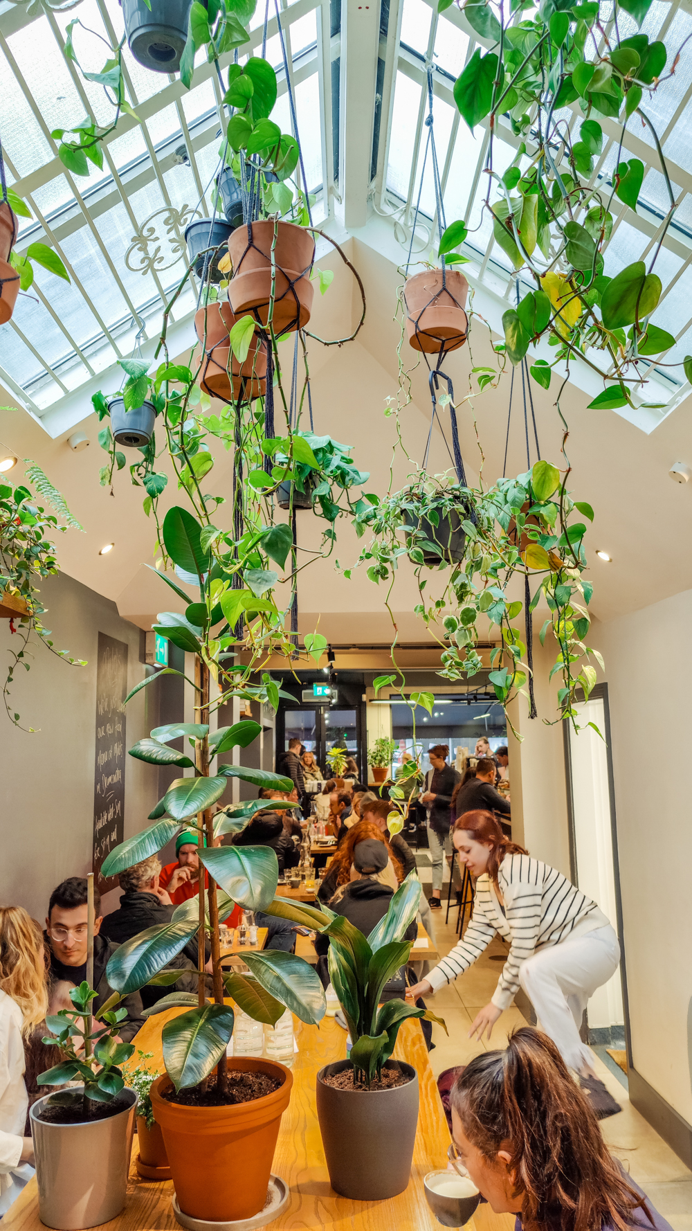 Two Boys Brew - #DublinBrunch - The best brunch places in North Dublin, Ireland | Aliz’s Wonderland